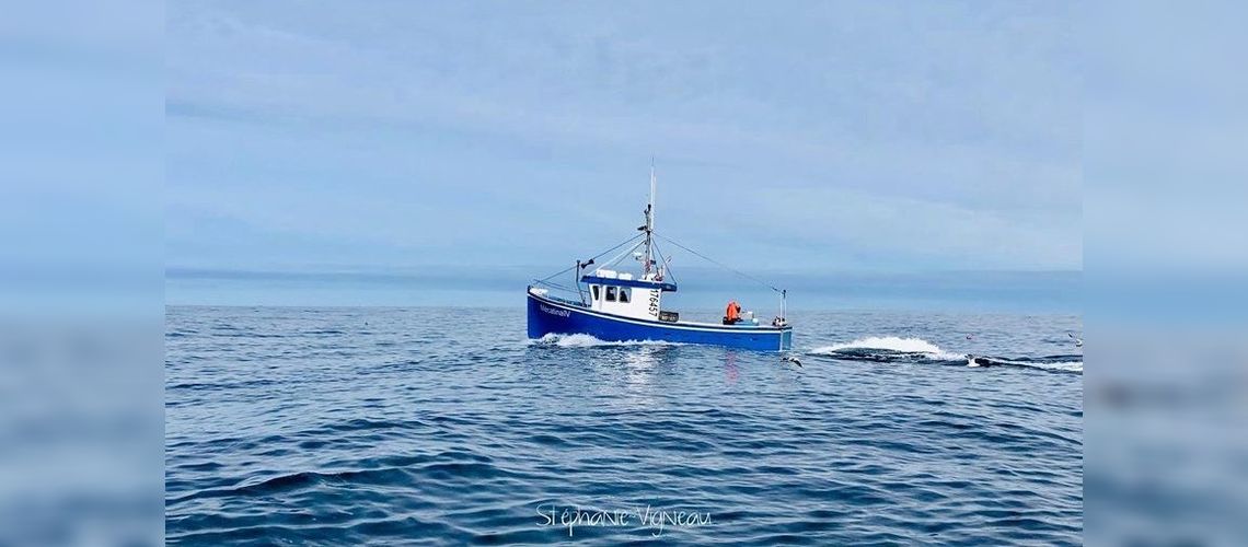 Excursion aboard a fishing boat 