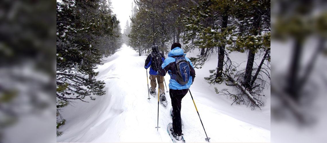 Randonnée en raquettes en forêt