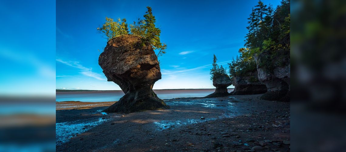 "Pot de fleurs", Baie de Fundy, NB
