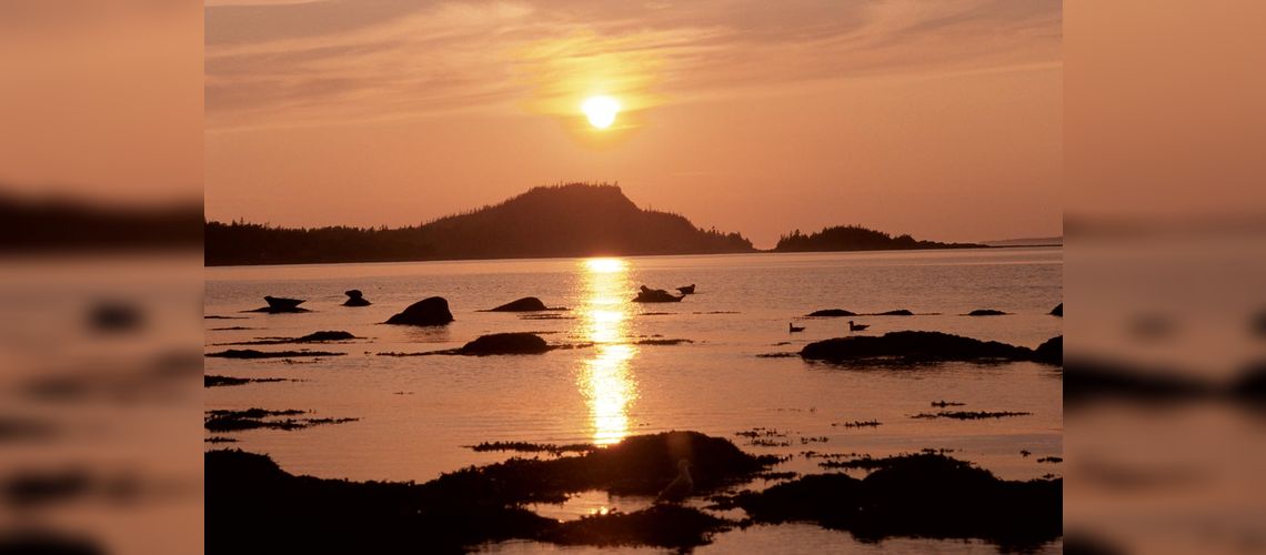 Coucher de soleil sur le parc du Bic