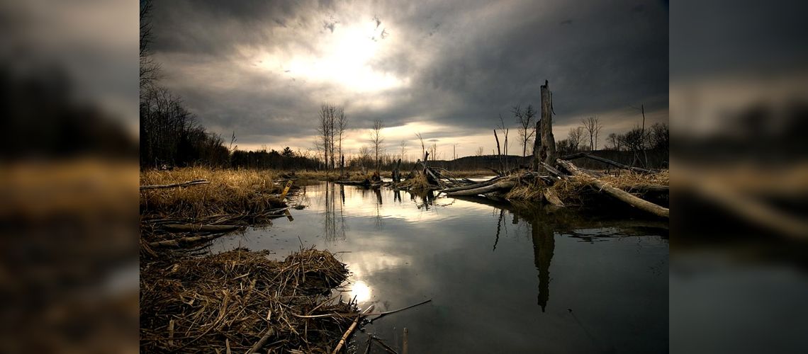 Oka National Park, Quebec, Canada