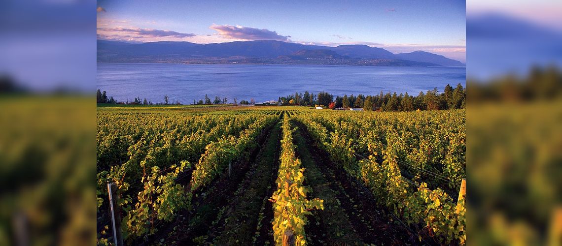 Cedar Creek Estate Winery, Kelowna- © Brian-Sprout