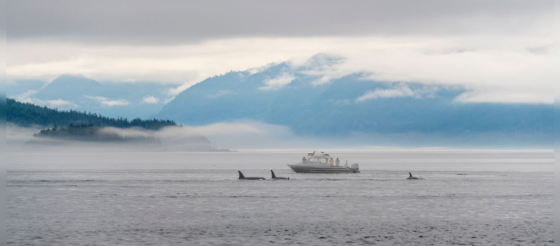 Northern Vancouver Island, BC, Canada