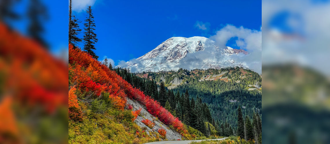 Mount Rainier, autumn colors