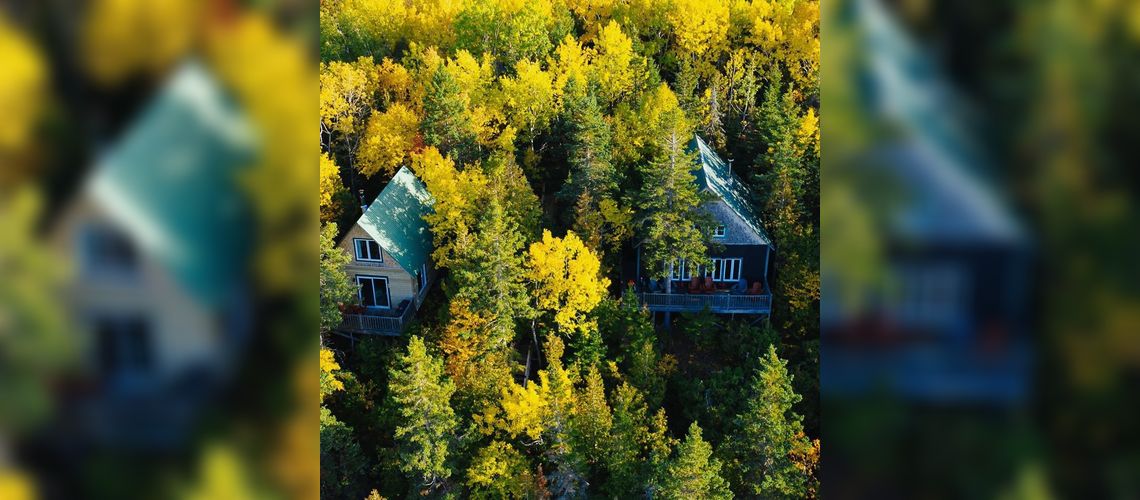 Les chalets en forêt