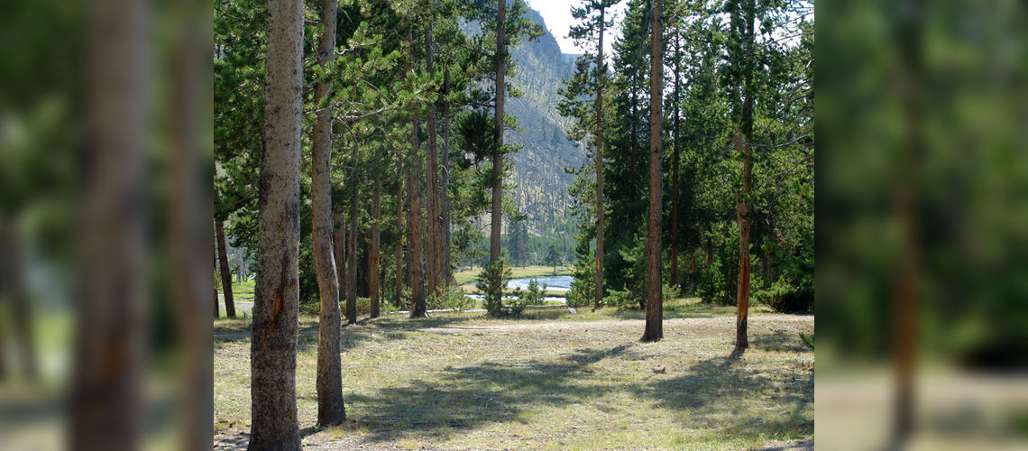 Vue sur la rivière Madison