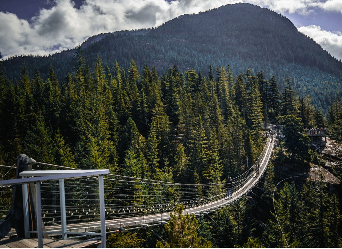 Suspension bridge in the forest in Canada