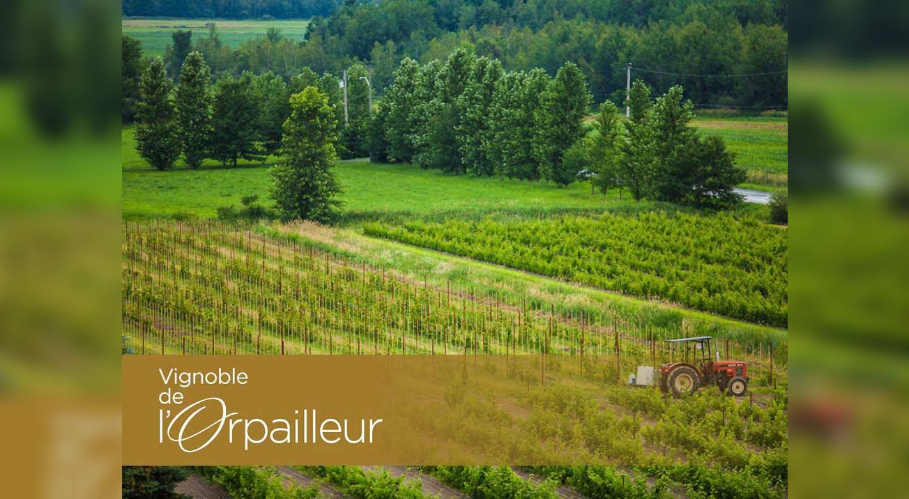 Vignoble de l'Orpailleur