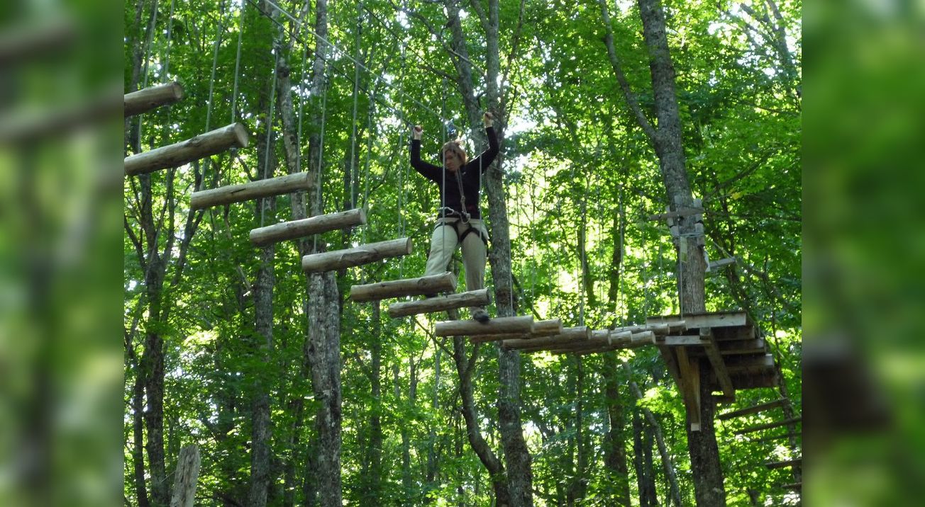 Forêt de Maître Corbeau