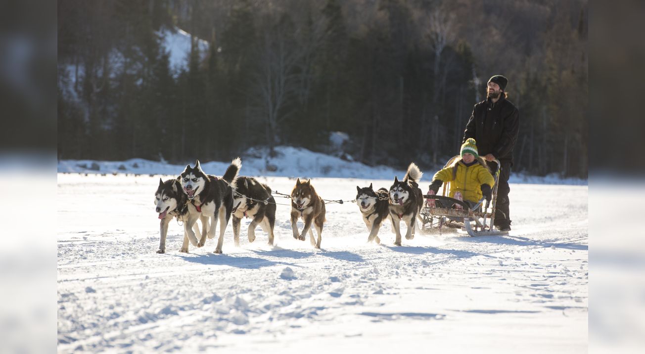 Balade en traîneau à chiens