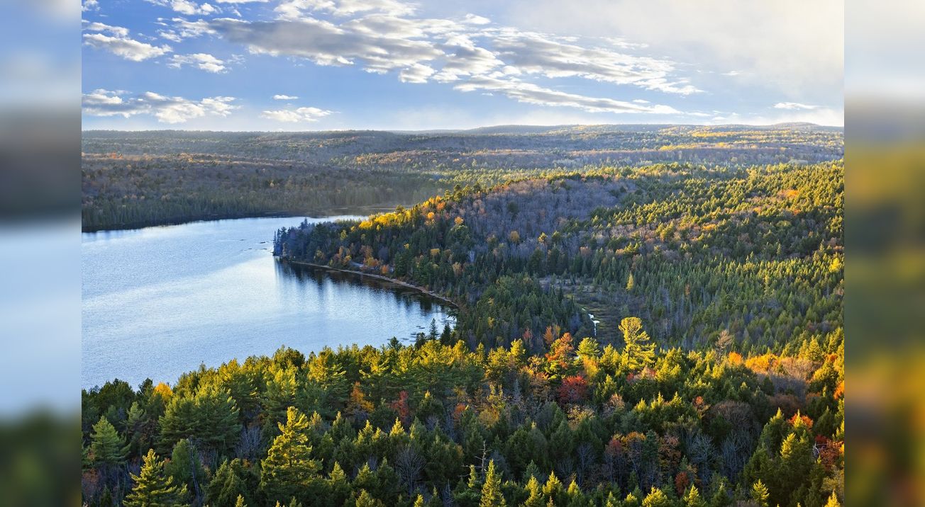 Parc Algonquin, Ontario, Canada