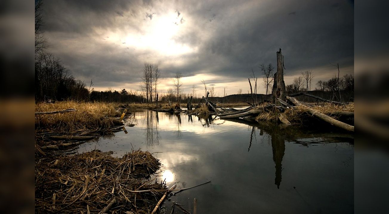 Parc national d'Oka, Québec, Canada
