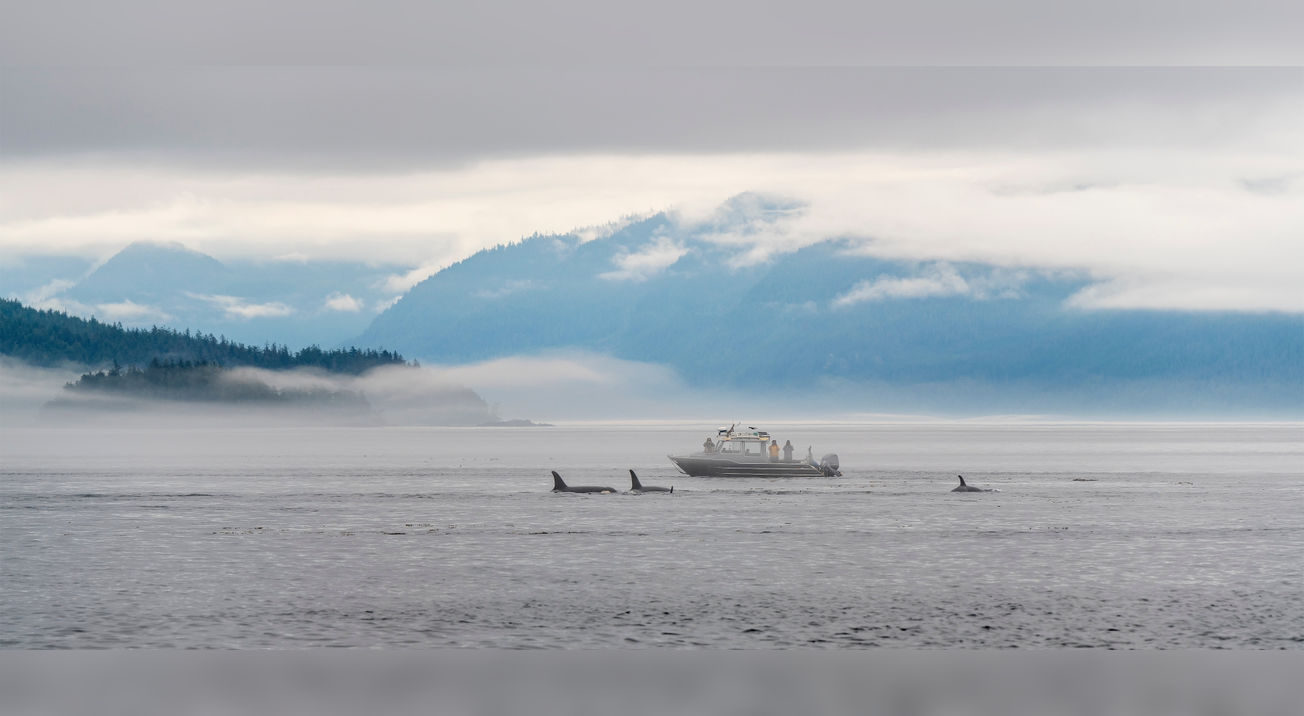 Northern Vancouver Island, BC, Canada
