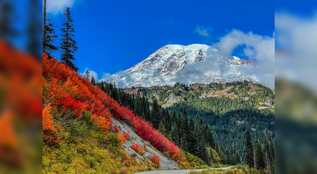 Mont Rainier, couleurs d'automne