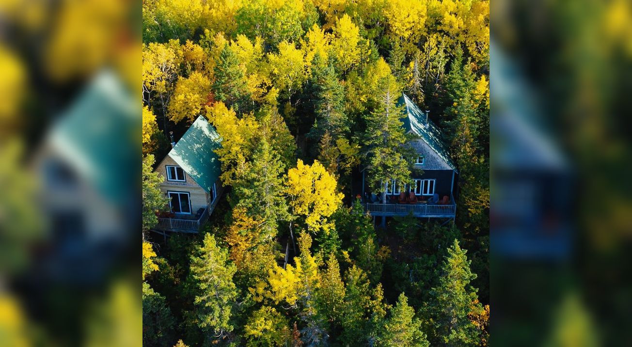 Les chalets en forêt