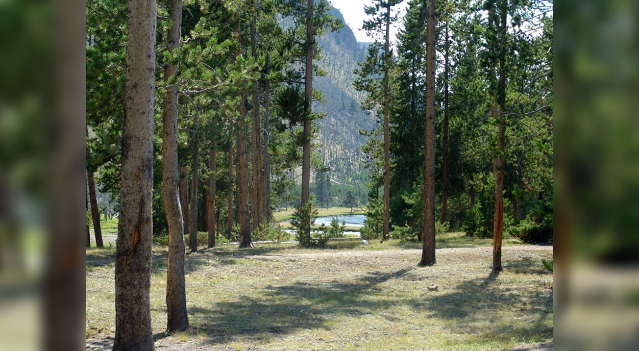 View on Madison River