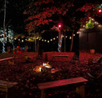 Aggrandir la photo 4