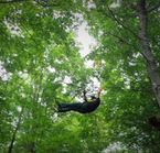 Aerial Trail, Raven Master Forest