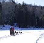 Traîneau à chiens sur le lac