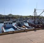 Fishing boats