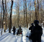 Motoneige dans les Laurentides