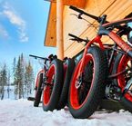 Fatbike Québec