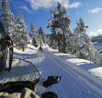 Sentier de motoneige