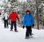 Partez en raquettes en famille