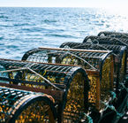 Aggrandir la photo 3