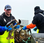 Aggrandir la photo 5