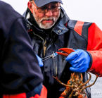 Aggrandir la photo 2