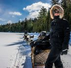 Randonnée en traîneau à chiens 