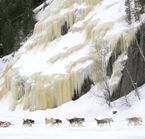 En traîneau à chiens longeant un mur de glace