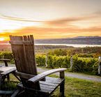 Vignoble Bachus