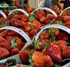 Fraise de l'Île d'Orléans