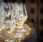Découvrez les vins du Cep d'Argent