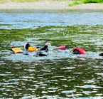 Apnee avec les saumons