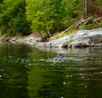 Apnee avec les saumons