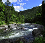 Apnee avec les saumons