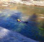 Apnee avec les saumons