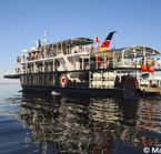 Safari aux baleines en bateau