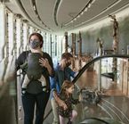 musee canadien de l'histoire