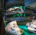 New England Aquarium