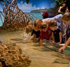 New England Aquarium