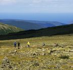Parc de la Gaspésie