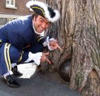 Guided tour of Quebec City