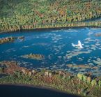 Transfert hydravion en pourvoirie - La Tuque