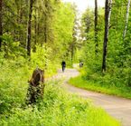 Bleuberry Cycling Route