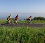 Cycling the Blueberry Route