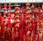 Aggrandir la photo 6